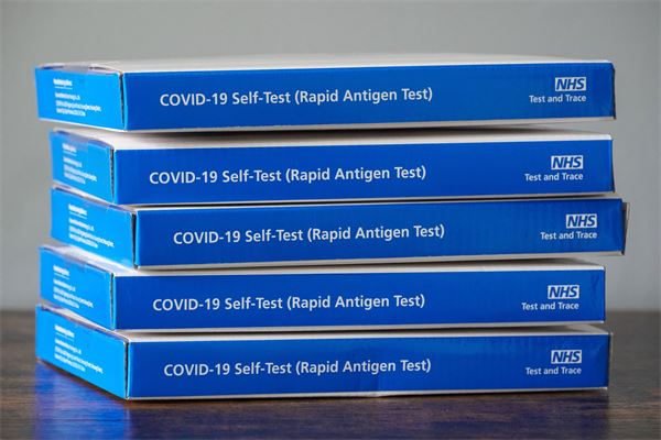 New Treasury panel to monitor Covid fraud recovery work