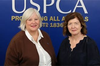 Sue Gray takes on leadership role at animal charity