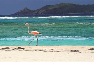 Pruce in Paradise: Insights from the governor of the British Virgin Islands