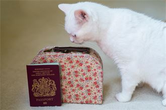 From blonde highlights to duck pâté – what are the strangest requests to the FCDO from Brits abroad?