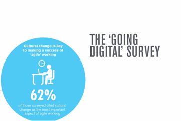 Cultural change: a necessity for digital government?