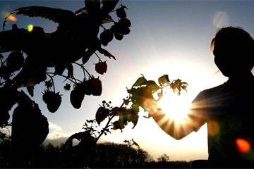 A radical re-think for public sector transformation