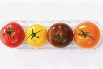 Reimagine feeding families