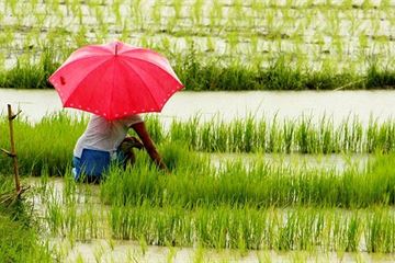 Reimagine aid allocation