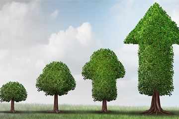 Digital Transformation in Government: Key takeaways from organisations that have transformed