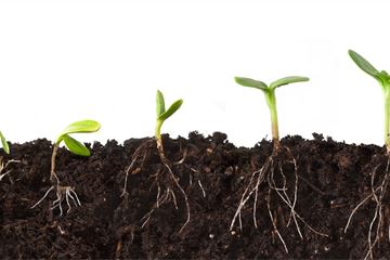 Three principles to make small changes count