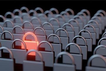 Protecting what matters most: Security for growth