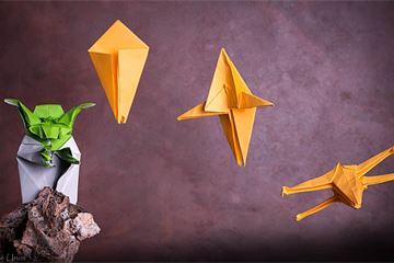 Was legendary grand master Yoda using red teaming to evaluate all his defences?