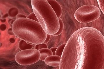 Tackling circulation problems