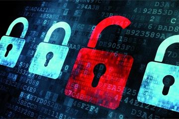 Feature: The Evidence