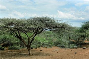 Beyond the comfort zone: Michael Anderson