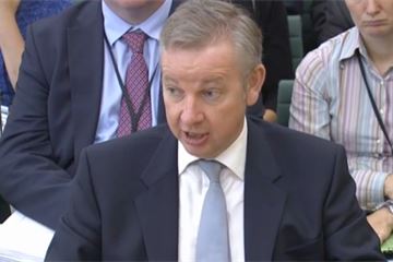 Michael Gove: Non-execs not there to stop 'misbehaving' ministers