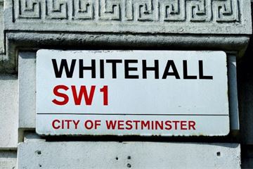 What do civil servants really think about the policy profession?