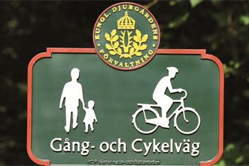 Making the global village a reality for policy