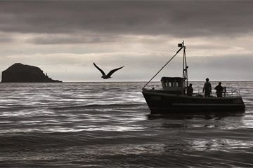 Defra reveals half the Brexit roles it needs by March are unfilled