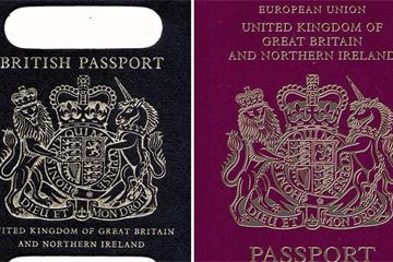 Home Office insists 'iconic' blue UK passports are not black