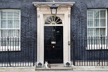 Former No 10 strategy director’s firm lands Red Tape Initiative role
