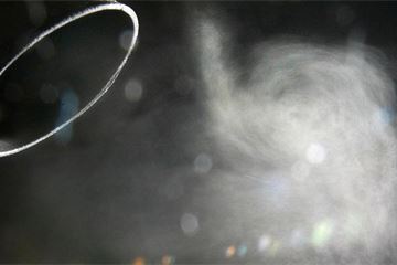 Four Commons committees join forces to urge cross-Whitehall action on air quality