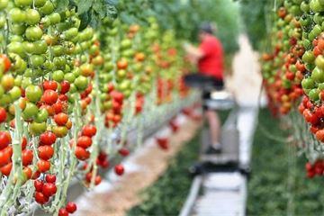 Defra rejects call for extra checks on EU food imports under no deal