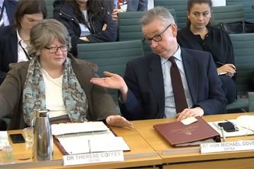 Post-Brexit environmental watchdog ‘must not be a creature of government’, say MPs