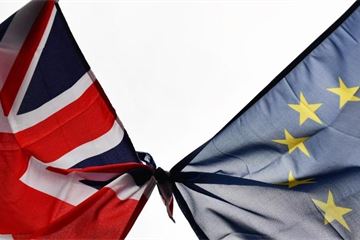 Government accused of outsourcing the civil service in Brexit 'gold rush' for consultants