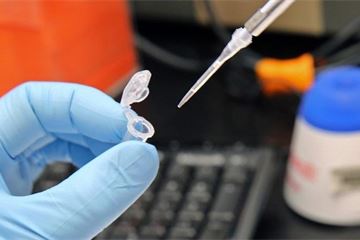 Home Office pledges to address 'systemic challenges' following DNA testing scandal