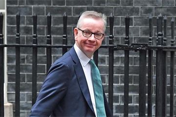No-deal Brexit food price hikes and export delays a 'material risk', Gove says