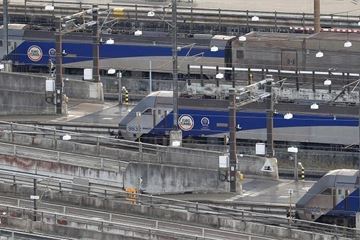 Brexit ferry fiasco: 40 officials quizzed in DfT probe of £33m Eurotunnel payout