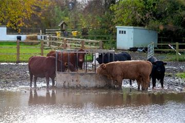 Environment Agency ‘working round the clock’ amid renewed flood warnings