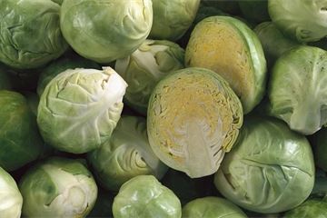 Ofqual chief Sally Collier on delivering new qualifications and unexpected sprouts