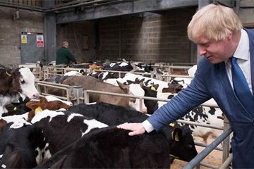 Johnson launches review of government projects to 'root out waste'