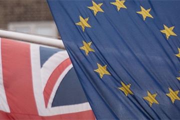 Chief Brexit negotiator says UK won’t accept EU's 'level playing field' in trade talks