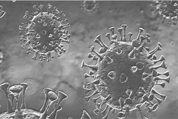 WATCH: how well prepared was Turkey for the coronavirus crisis?