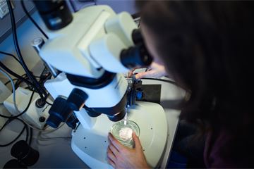 BEIS job market review to inform pay framework for civil service scientists