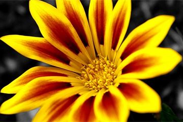 Defra confident of ‘smooth and orderly transfer’ to post-Brexit import IT system