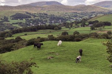 Post-Brexit environment watchdog names first chief exec