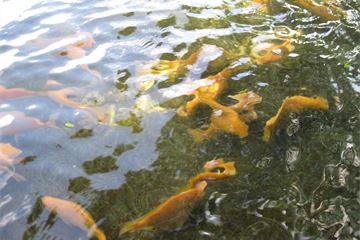 Defra appoints new chief exec to marine science agency