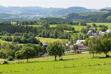 Environment watchdog to launch on interim basis