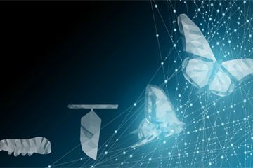 Changing the Unchangeable: Three steps to overcome scale, complexity and bureaucracy