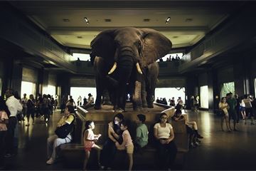 Minister pledges Central Digital and Data Office will target ‘elephant in the room’ legacy IT