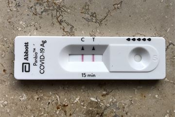 13% of civil servants absent because of Covid at crisis peak, stats show
