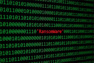 Cyberattack on environment watchdog pinned on organised crime group