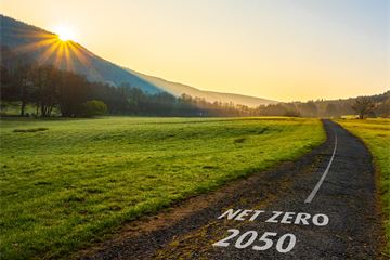 Gareth Rhys Williams on how the government is using procurement to drive its net zero strategy