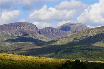 'Grit, resilience and a fantastic team': Madeleine Alessandri shares how the NIO powered through 2021