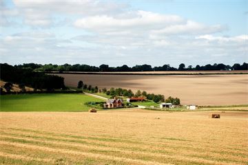 Defra accused of 'blind optimism' over post-Brexit farming plans