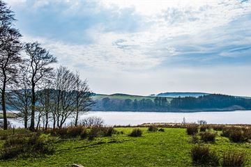 'Broken' pay at Natural England 'putting net-zero goals at risk'
