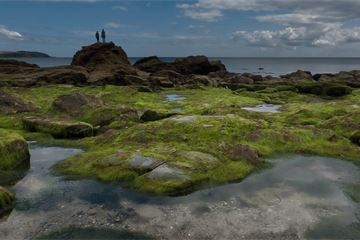 Dismantling Natural England would be 'calamitous', campaigners say