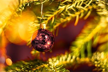 Fast forward: Louise Smyth’s year of accelerated change at Companies House