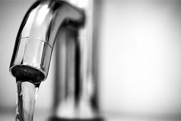 ‘Complete overhaul of Defra IT needed to ensure safe food and water,' MPs warn