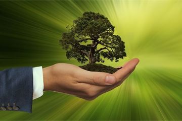 Making strides towards Net Zero:  Programme Management Offices for transformation